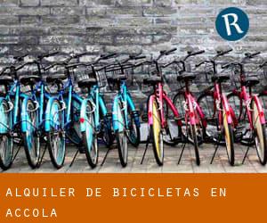Alquiler de Bicicletas en Accola