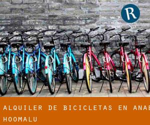 Alquiler de Bicicletas en ‘Anae-ho‘omalu