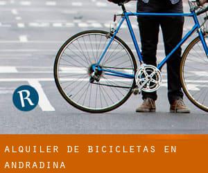 Alquiler de Bicicletas en Andradina