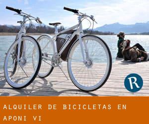 Alquiler de Bicicletas en Aponi-vi