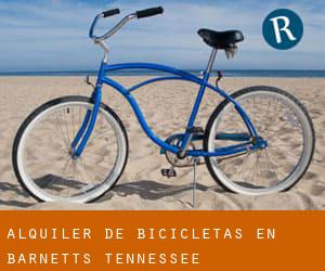 Alquiler de Bicicletas en Barnetts (Tennessee)