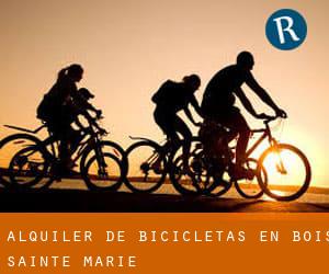 Alquiler de Bicicletas en Bois-Sainte-Marie