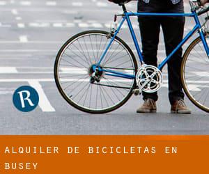 Alquiler de Bicicletas en Busey