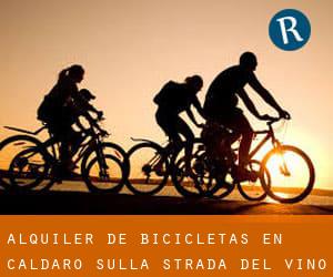 Alquiler de Bicicletas en Caldaro sulla strada del vino