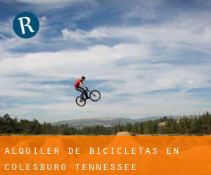 Alquiler de Bicicletas en Colesburg (Tennessee)