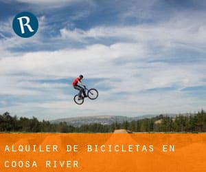 Alquiler de Bicicletas en Coosa River