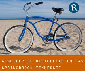 Alquiler de Bicicletas en East Springbrook (Tennessee)