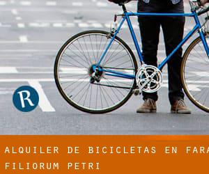 Alquiler de Bicicletas en Fara Filiorum Petri