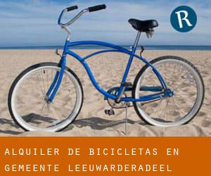 Alquiler de Bicicletas en Gemeente Leeuwarderadeel