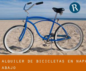 Alquiler de Bicicletas en Napa Abajo