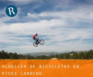 Alquiler de Bicicletas en Rices Landing