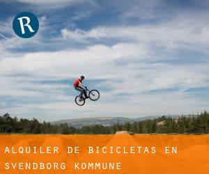 Alquiler de Bicicletas en Svendborg Kommune
