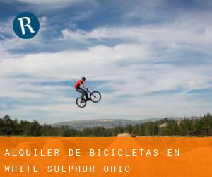 Alquiler de Bicicletas en White Sulphur (Ohio)
