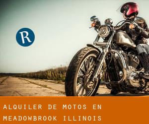Alquiler de Motos en Meadowbrook (Illinois)